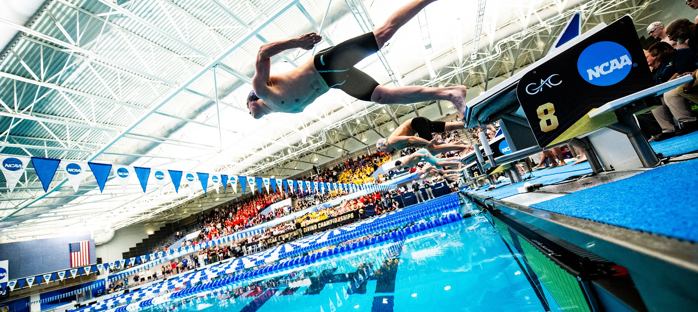 A swimmer launching from the starting blocks at the NCAA Swimming and Diving Championships in the Greensboro Aquatic Center