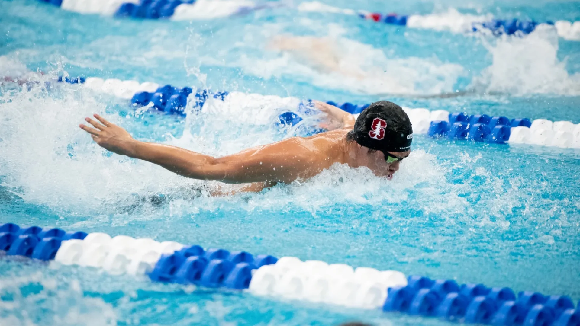 Championship swimming in Greensboro